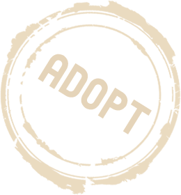 adopt-logo